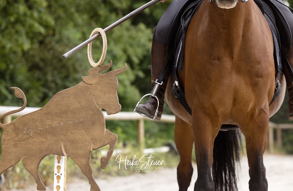 Equimonie-Julia-Schneebauer-Working-Equitation-mobile-Hindernisse-kaufen-Reitunterricht-Reitschule-Muenchen-Bayern-Sueddeutschland-1-min