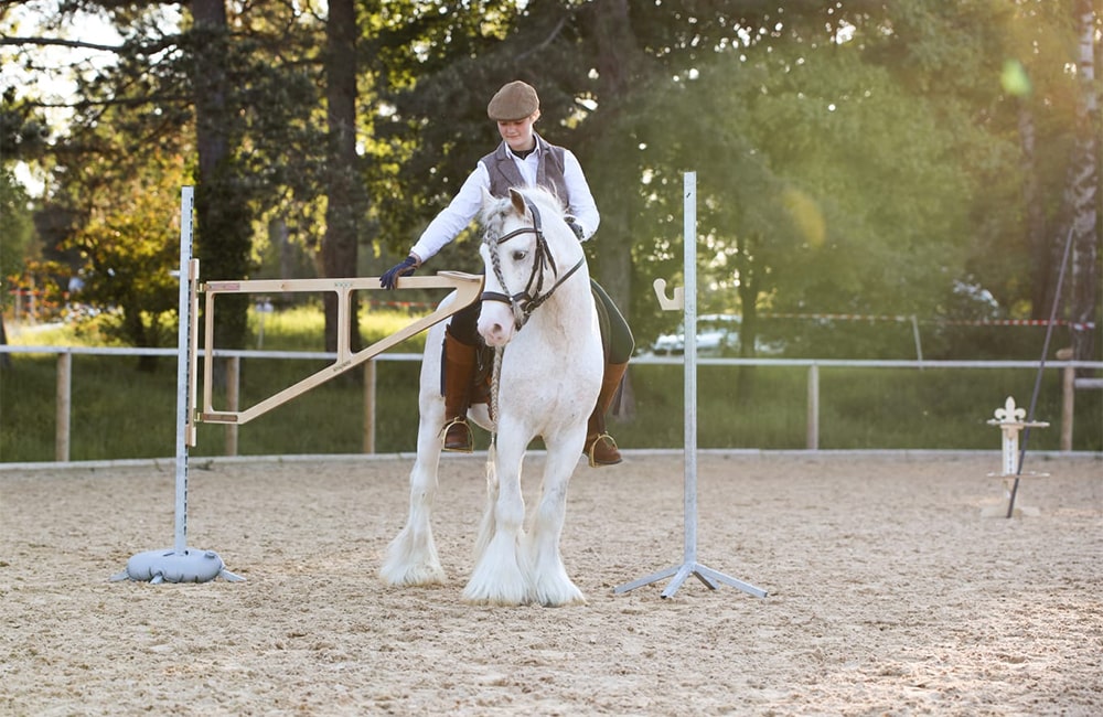 Equimonie-Julia-Schneebauer-Working-Equitation-Hindernisse-kaufen-Reitunterricht-Reitschule-Reiten-lernen-Muenchen-Bayern-Sueddeutschland-14-min
