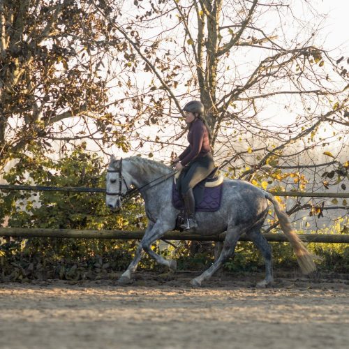 5er Karte Reitstunde